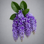 Petrea Blue Plant