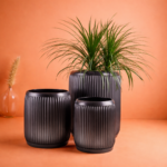 Dolly Black Metal Planter