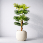 Artificial fan palm plant-5ft