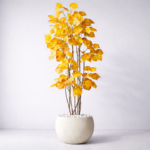 Artificial Amber Peepal Plant - 6 Feet
