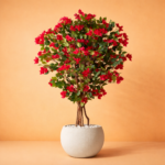 Artificial Regal Bougainvillea Plant 5 Feet