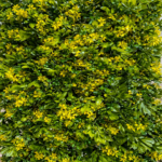 Artificial Wall Grass Yellow Ixora Azalea 40x60 cm