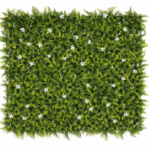 Bougainvillaea 40X60 CM