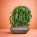 Skirtle FRP Floor Planter